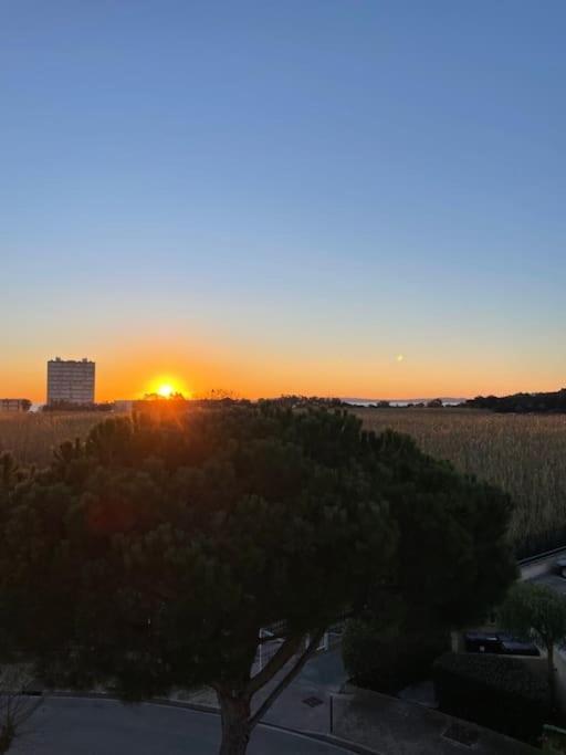 勒拉旺杜Domaine D'Azur - Renovated 1Br With Terrace Pool & Garage公寓 外观 照片