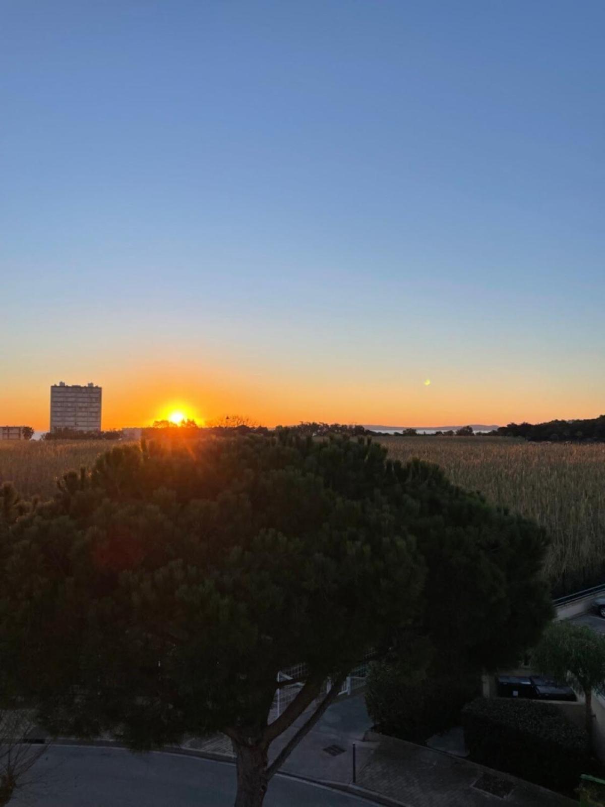 勒拉旺杜Domaine D'Azur - Renovated 1Br With Terrace Pool & Garage公寓 外观 照片